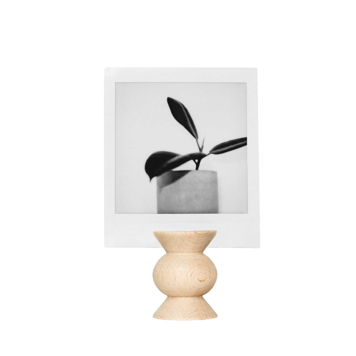 Totem Picture & Postcard Stand Nº 5